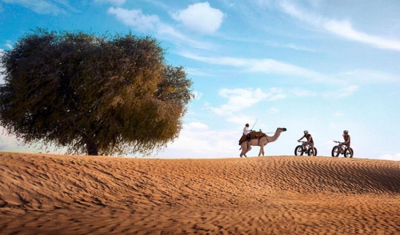 منتجع باب الشمس الصحراء منتجع باب الشمس الصحراء