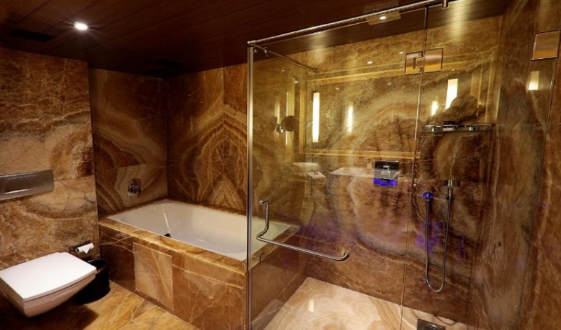 فندق صحارى ستار مومباي 