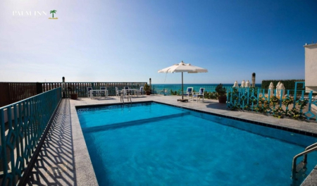 Palm Inn Hotel