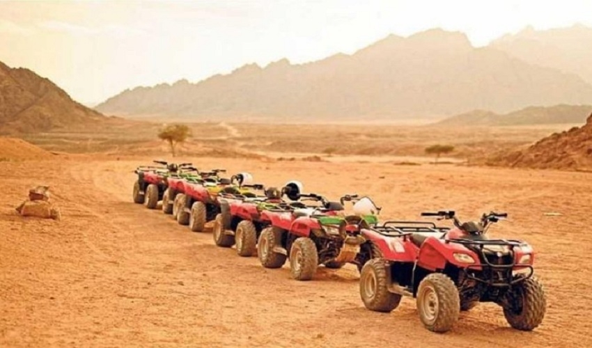 Quad Bike