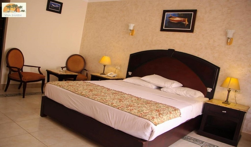 Viva Sharm Hotel Single Room